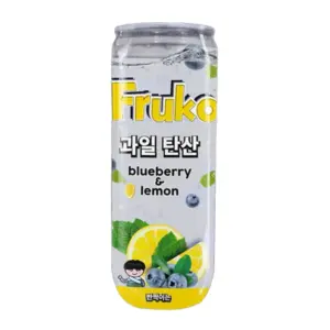 Frutti Fruko Blueberry Lemon VE: 24 x 330ml