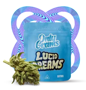 Lucid Dreams - 10Stk/VPE 1g Beutel