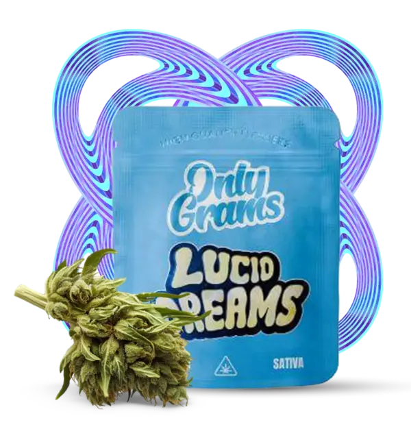 Lucid Dreams - 10Stk/VPE 1g Beutel