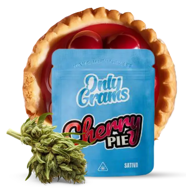 Cherry Pie - 10Stk/VPE 1g Beutel