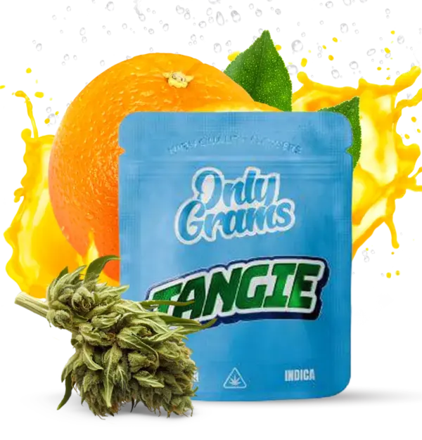 Tangie - 10Stk/VPE 1g Beutel