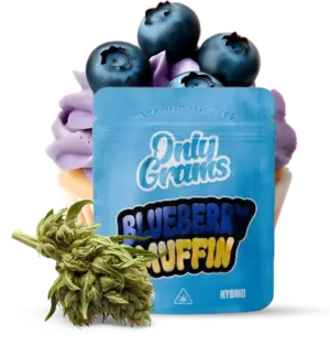 Blueberry Muffin - 10Stk/VPE 1g Beutel
