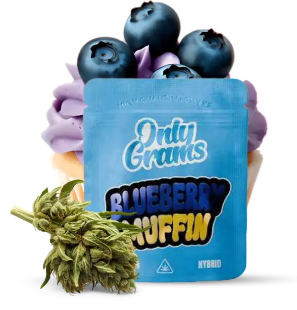 Blueberry Muffin - 10Stk/VPE 1g Beutel