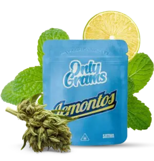 Lemontos - 10Stk/VPE 1g Beutel