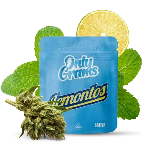 Lemontos - 10Stk/VPE 1g Beutel