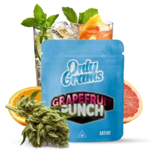 Grapefruit Punch - 10Stk/VPE 1g Beutel