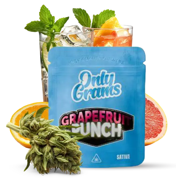 Grapefruit Punch - 10Stk/VPE 1g Beutel