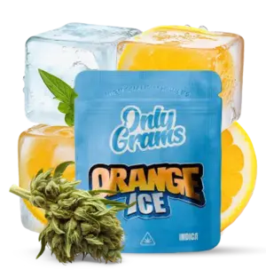 Orange Ice - 10Stk/VPE 1g Beutel