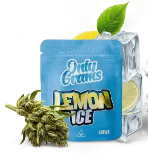 Lemon Ice - 10Stk/VPE 1g Beutel