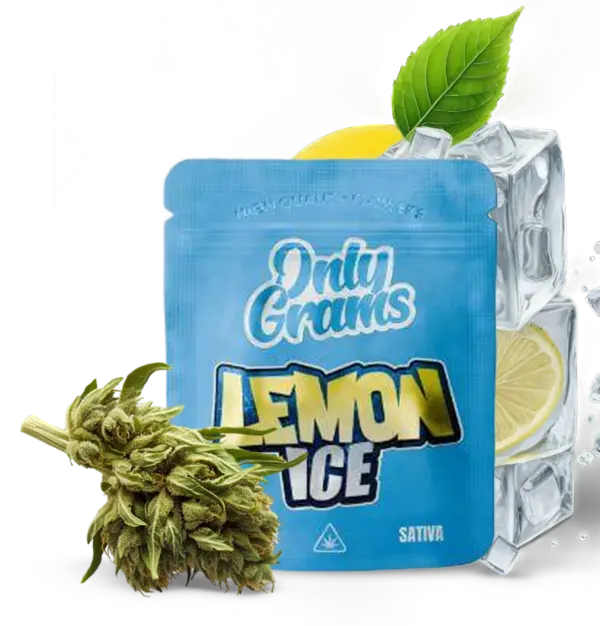 Lemon Ice - 10Stk/VPE 1g Beutel