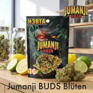 Jumanji BUDS Blüten