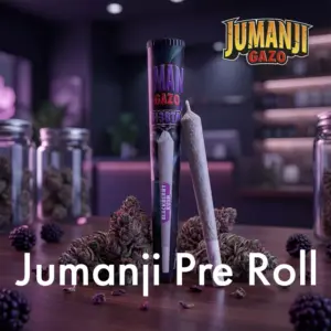 Jumanji Pre Roll