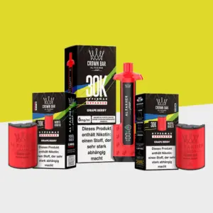 Grape Berry VE: 10 Pods + 5 Akkus