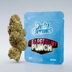 Grapefruit Punch