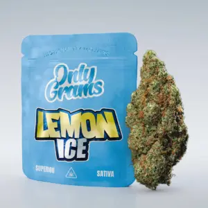 Lemon Ice