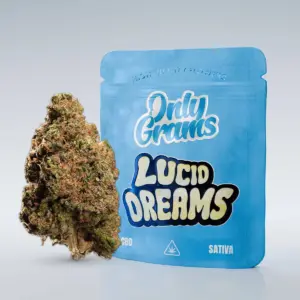 Lucid Dreams