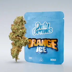 Orange Ice