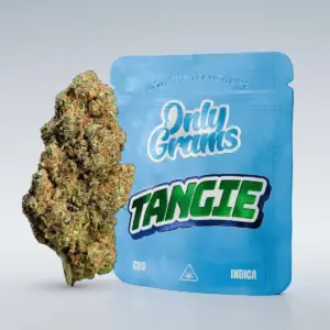 Tangie
