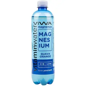 Viwa Magnesium Guava Orange VE: 12 Dosen a 0,6l