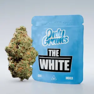 The White