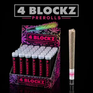 4Blockz – Prerolls