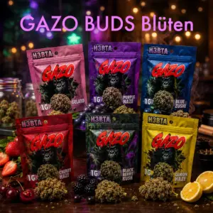 GAZO BUDS Blüten